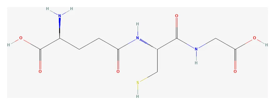2D chemical structure of Glutathione (C10H17N3O6S), as depicted by PubChem