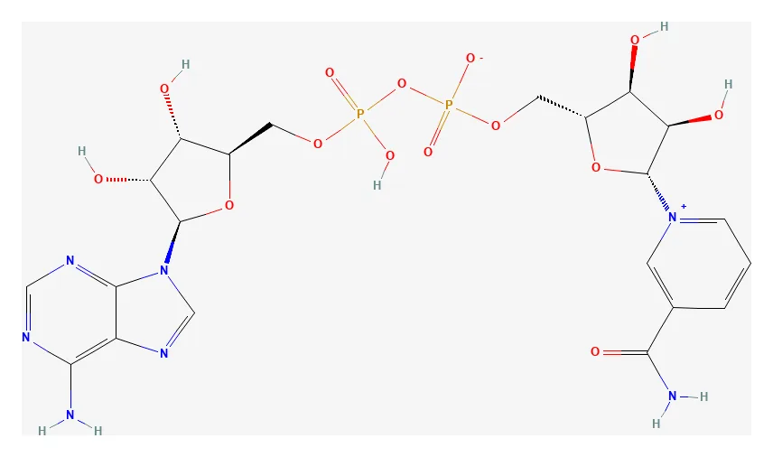 2D chemical structure of NAD+ (C21H27N7O14P2), as depicted by PubChem