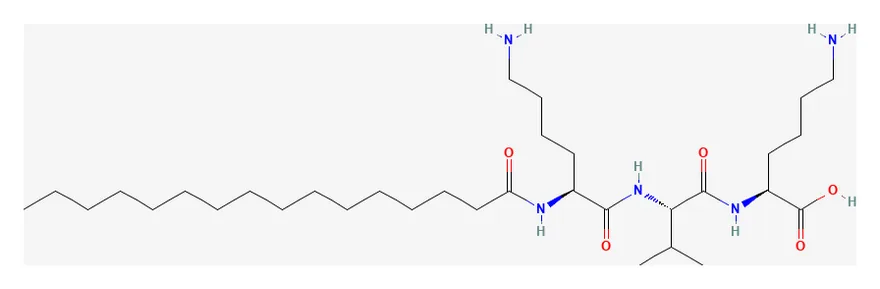 2D chemical structure of Syn-Coll (C33H65N5O5), as depicted by PubChem